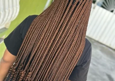 Quality Hair Colorist
