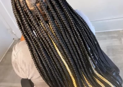 Reliable Hair Colorist